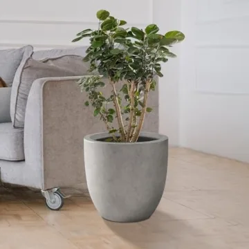 Kante Round Concrete Planter for Indoor & Outdoor Use