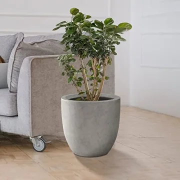 Kante Round Concrete Planter for Indoor & Outdoor Use
