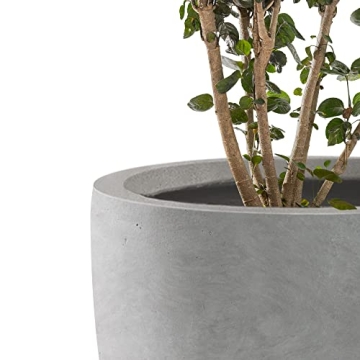 Kante Round Concrete Planter for Indoor & Outdoor Use