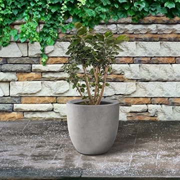 Kante Round Concrete Planter for Indoor & Outdoor Use