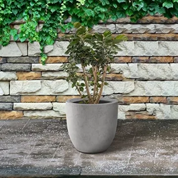 Kante Round Concrete Planter for Indoor & Outdoor Use