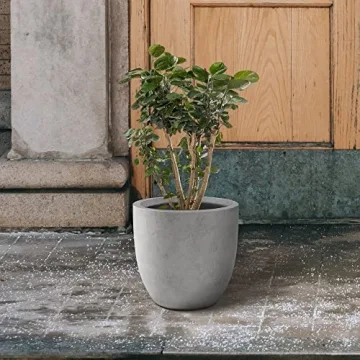 Kante Round Concrete Planter for Indoor & Outdoor Use