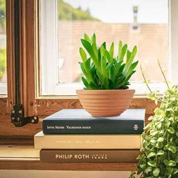 ZOUTOG Terracotta Pots, 6 inches Shallow Bowls with Drainage Holes, Small Clay Pots for Plants, Pack of 6