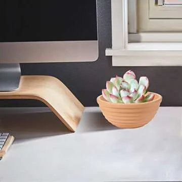 ZOUTOG Terracotta Pots, 6 inches Shallow Bowls with Drainage Holes, Small Clay Pots for Plants, Pack of 6