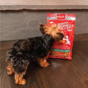 Pup Corn Plus - Puffed Dog Treats with Prebiotics and Probiotics - Salmon & Sweet Potato (24oz) - Made in USA