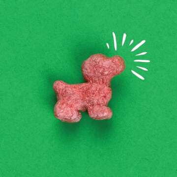 Pup Corn Plus - Puffed Dog Treats with Prebiotics and Probiotics - Salmon & Sweet Potato (24oz) - Made in USA