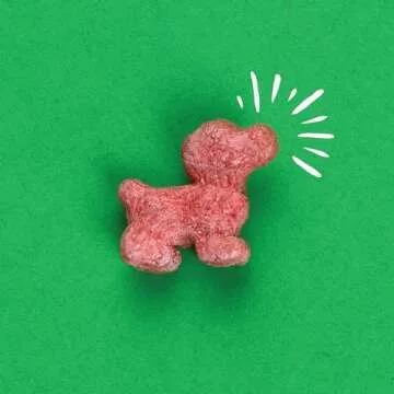 Pup Corn Plus - Puffed Dog Treats with Prebiotics and Probiotics - Salmon & Sweet Potato (24oz) - Made in USA