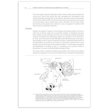 Sensitive Nervous System