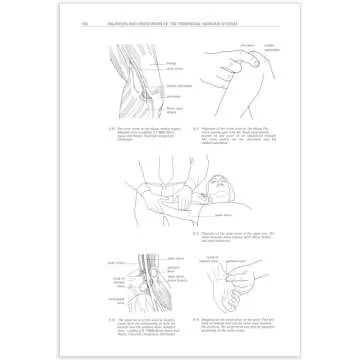 Sensitive Nervous System by David Butler - Transformative Pain Science Perspectives