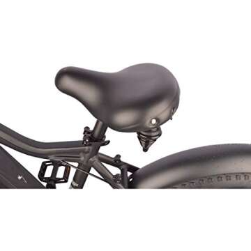 DJ Fat Bike 750W 48V 13Ah Power Electric Bicycle, Matte Black, LED Bike Light, Suspension Fork and Shimano Gear