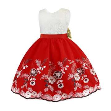 Toddler Baby Flower Girl Dress Birthday Prom Pageant Wedding Bridesmaid Party Christmas Easter Formal Princess Ball Gown Lace Dresses Size 12M 18M (Red 80)