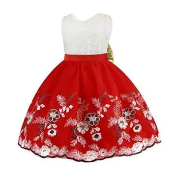 Toddler Flower Girl Dress for Weddings and Parties