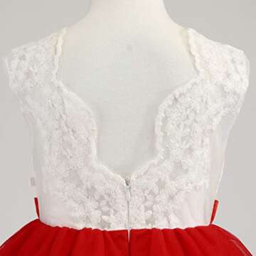 Toddler Baby Flower Girl Dress Birthday Prom Pageant Wedding Bridesmaid Party Christmas Easter Formal Princess Ball Gown Lace Dresses Size 12M 18M (Red 80)