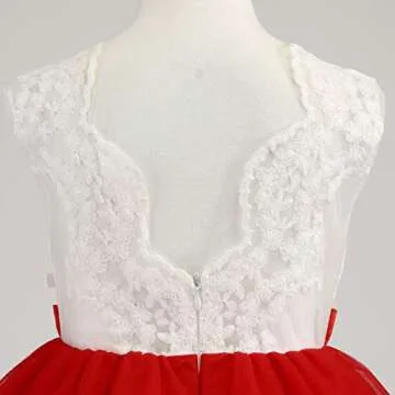 Toddler Flower Girl Dress for Weddings and Parties