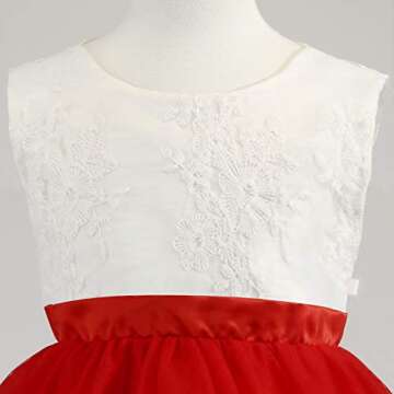 Toddler Baby Flower Girl Dress Birthday Prom Pageant Wedding Bridesmaid Party Christmas Easter Formal Princess Ball Gown Lace Dresses Size 12M 18M (Red 80)