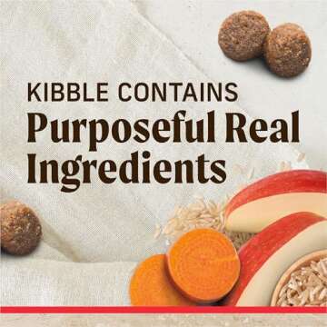 Merrick Healthy Grains Dry Dog Food with Beef & Rice