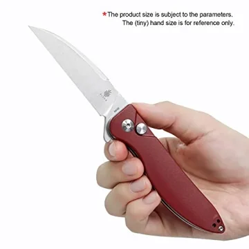 Kizer Cutlery KIV3566N4 Sway Back Knife in Red