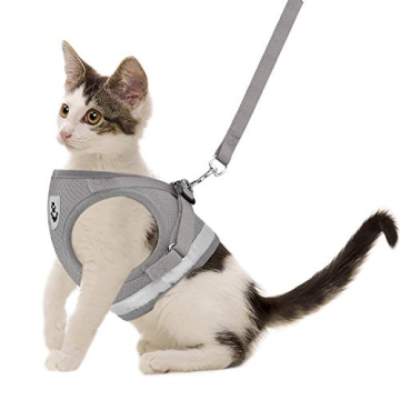 Cat Harness and Leash Set for Comfortable Outdoor Walks