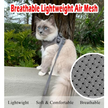 Cat Harness & Leash Set for Outdoor Safety and Comfort