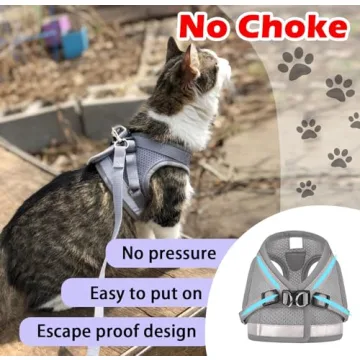 Cat Harness & Leash Set for Outdoor Safety and Comfort