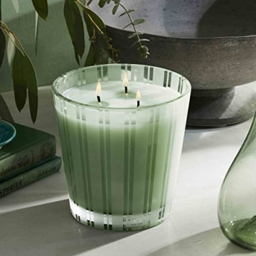 NEST New York Wild Mint Eucalyptus 3-Wick Candle