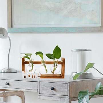 Dicunoy Set of 2 Plant Terrarium with Wooden Stand, Desktop Glass Propagation Stations, Hydroponic Plant Bulb Vase, Plant Cuttings Holder for Air Planter Live Plants Indoor, Gifts for Plant Lovers