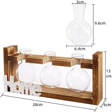 Dicunoy Set of 2 Plant Terrarium with Wooden Stand, Desktop Glass Propagation Stations, Hydroponic Plant Bulb Vase, Plant Cuttings Holder for Air Planter Live Plants Indoor, Gifts for Plant Lovers