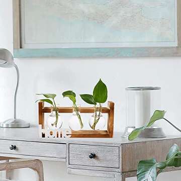 Dicunoy Set of 2 Plant Terrarium with Wooden Stand, Desktop Glass Propagation Stations, Hydroponic Plant Bulb Vase, Plant Cuttings Holder for Air Planter Live Plants Indoor, Gifts for Plant Lovers