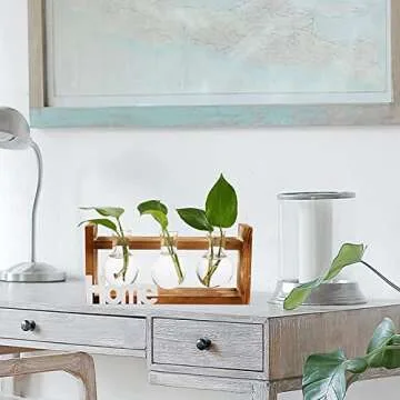 Dicunoy Set of 2 Plant Terrarium with Wooden Stand, Desktop Glass Propagation Stations, Hydroponic Plant Bulb Vase, Plant Cuttings Holder for Air Planter Live Plants Indoor, Gifts for Plant Lovers