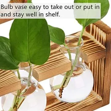 Dicunoy Set of 2 Plant Terrarium with Wooden Stand, Desktop Glass Propagation Stations, Hydroponic Plant Bulb Vase, Plant Cuttings Holder for Air Planter Live Plants Indoor, Gifts for Plant Lovers