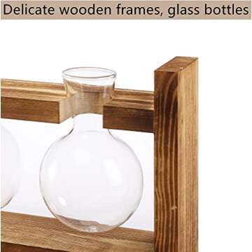Dicunoy Set of 2 Plant Terrarium with Wooden Stand, Desktop Glass Propagation Stations, Hydroponic Plant Bulb Vase, Plant Cuttings Holder for Air Planter Live Plants Indoor, Gifts for Plant Lovers
