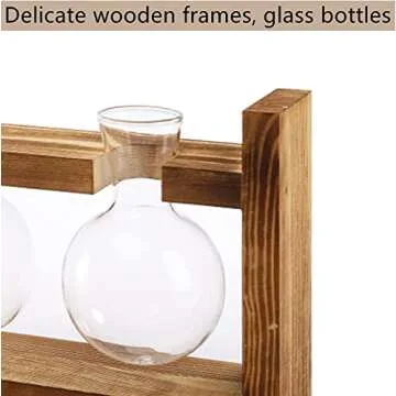 Dicunoy Set of 2 Plant Terrarium with Wooden Stand, Desktop Glass Propagation Stations, Hydroponic Plant Bulb Vase, Plant Cuttings Holder for Air Planter Live Plants Indoor, Gifts for Plant Lovers