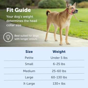 PetSafe Gentle Leader No-Pull Dog Headcollar for Easy Walks