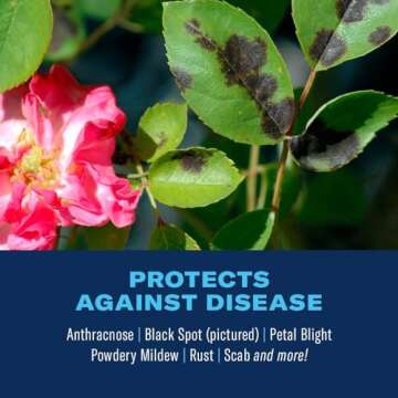 BioAdvanced 3-in-1 Insect Disease Control for Plants