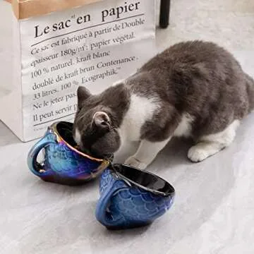 Nihow Cat Food Bowl：5.7 Inch Ceramic Raised Cat Food Bowl for Protecting Pet's Spine - Elevated Pet Bowl Cat Dish for Dry Wet Cat Food - Colorful Blue (4OZ /1 PC)