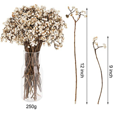 YOUEON 250G Dried Tallow Berries for Floral Decor