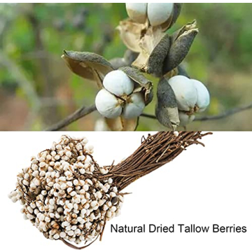 YOUEON 250G Dried Tallow Berries for Floral Decor