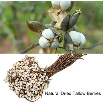 YOUEON 250G Dried Tallow Berries for Floral Decor