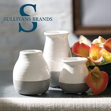 Elegant Sullivans Bud Vases for Home Decor
