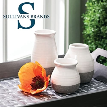Elegant Sullivans Bud Vases for Home Decor