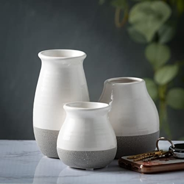 Elegant Sullivans Bud Vases for Home Decor