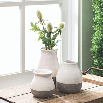 Elegant Sullivans Bud Vases for Home Decor
