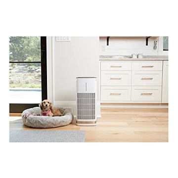 Cuisinart Large Room Air Purifier with H13 HEPA Filter