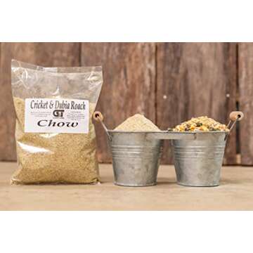 G&T Dubia Roach Starter Kit for Reptiles and Breeders