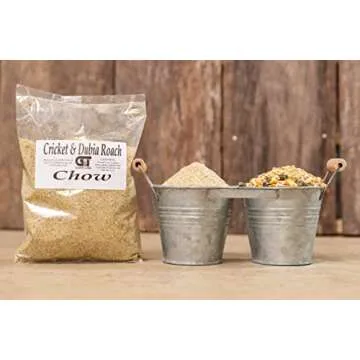 G&T Dubia Roach Starter Kit for Reptiles and Breeders