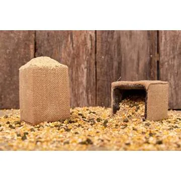 G&T Dubia Roach Starter Kit for Reptiles and Breeders