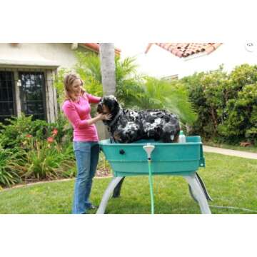 Booster Bath Elevated Pet Bathing, Teal, Large (Pack of 1)