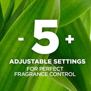 Air Wick Scented Oil Starter Kit with 2 Refills