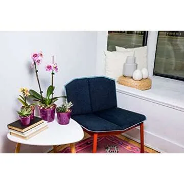 rePotme Orchid Pot Growers Assortment (4 Slotted Clear Orchid Pots - 1 Each of 3, 4, 5, 6 Inch) - Premium Orchid Planters, Orchid Pots with Holes for Repotting