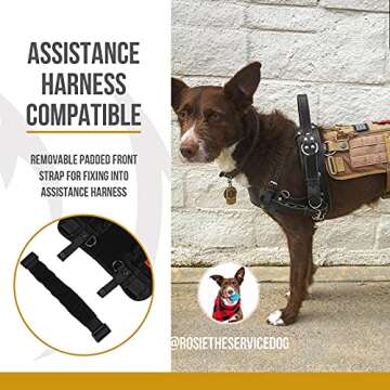 OneTigris Adjustable Dog Harness for Service Dogs and Pets